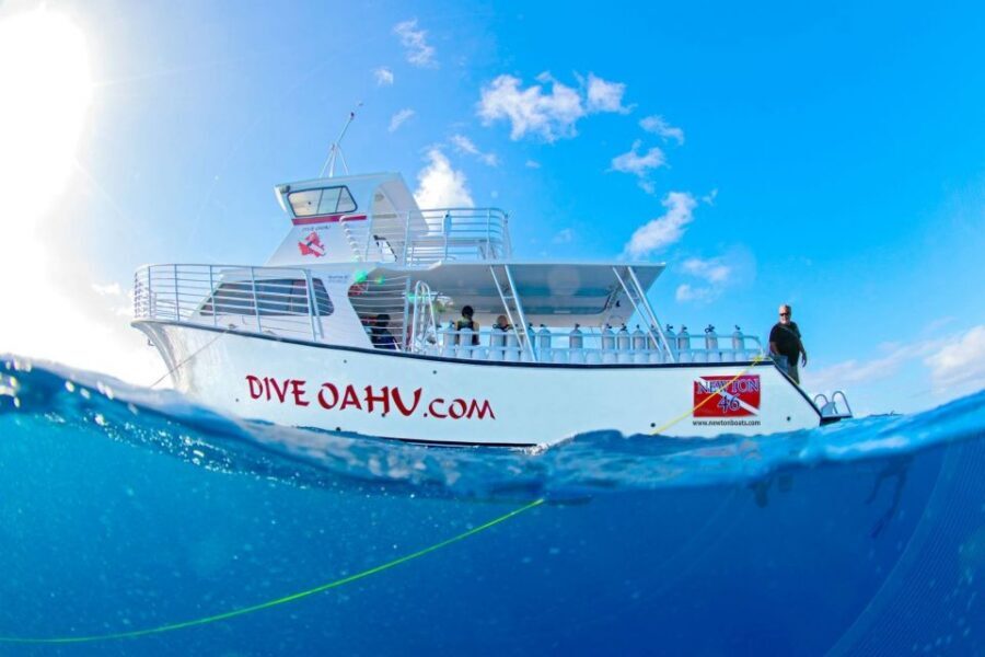 Oahu: Waikiki Discovery Scuba Diving for Beginners - Two Reef Sites: What You’ll Look For Underwater