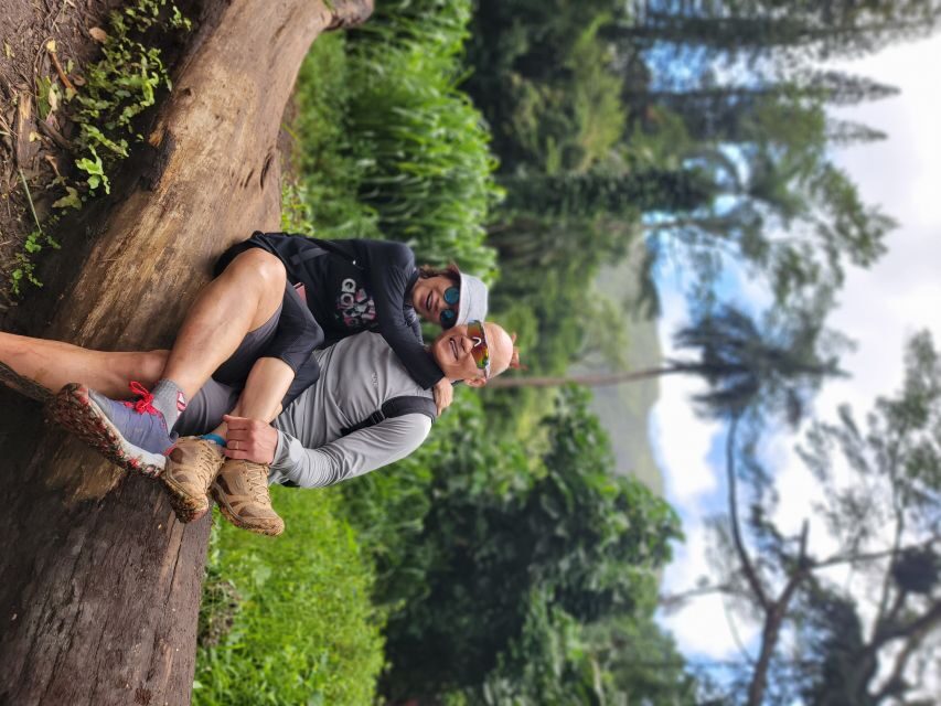 Oahu: Waikiki E-Bike Ride and Manoa Falls Hike - FAQ