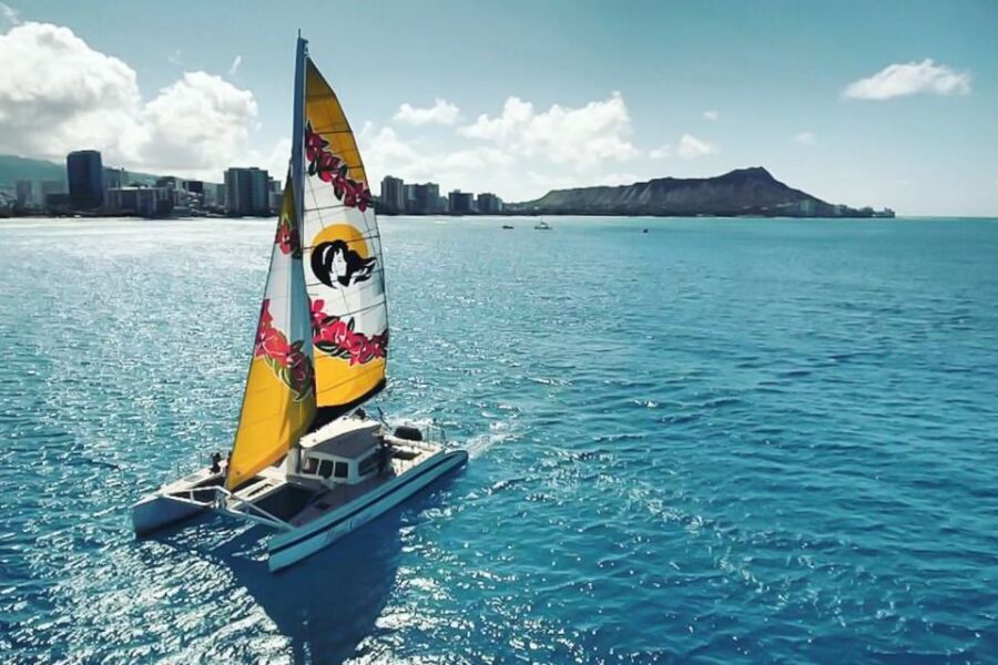 Oahu: Waikiki Eco-Friendly Morning Whale Watching Cruise - What You’ll Actually Watch: Spouts, Tails, Breaches, and Dolphin Bonus