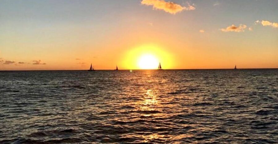 Oahu: Waikiki Glass Bottom Boat Sunset Cruise - Meeting Point, Boat Comfort, and What 90 Minutes Feels Like