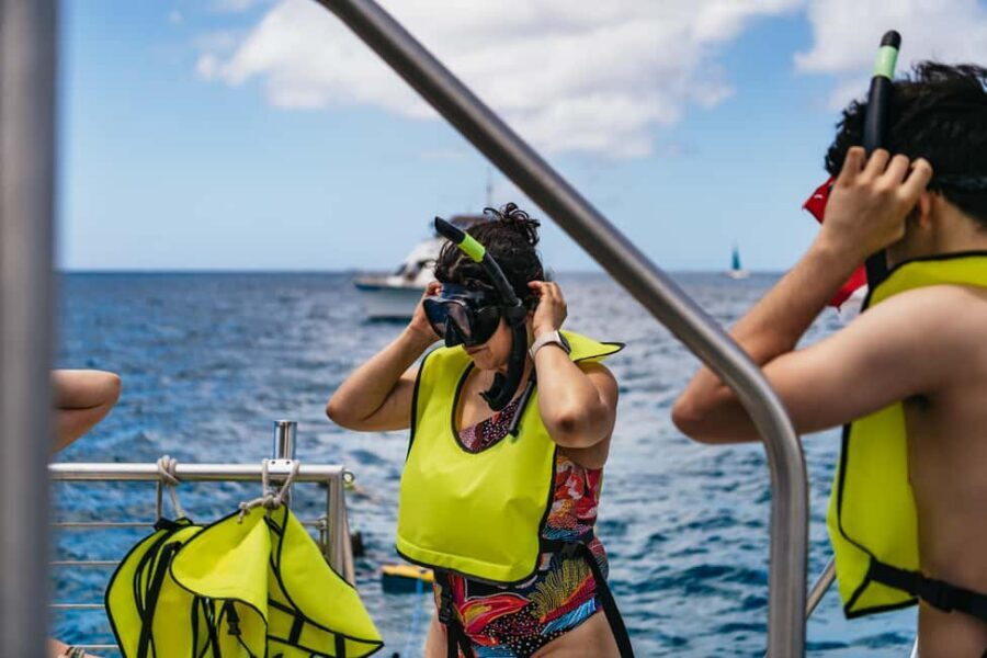 Oahu: Waikiki Snorkel and Sailing Trip with Lunch - Snorkeling Setup: Gear You Get and How Crews Make It Easier