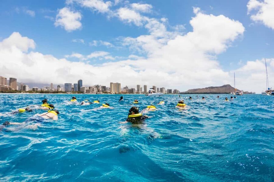 Oahu: Waikiki Snorkel and Sailing Trip with Lunch - Who This Trip Suits Best (and Who Should Rethink It)