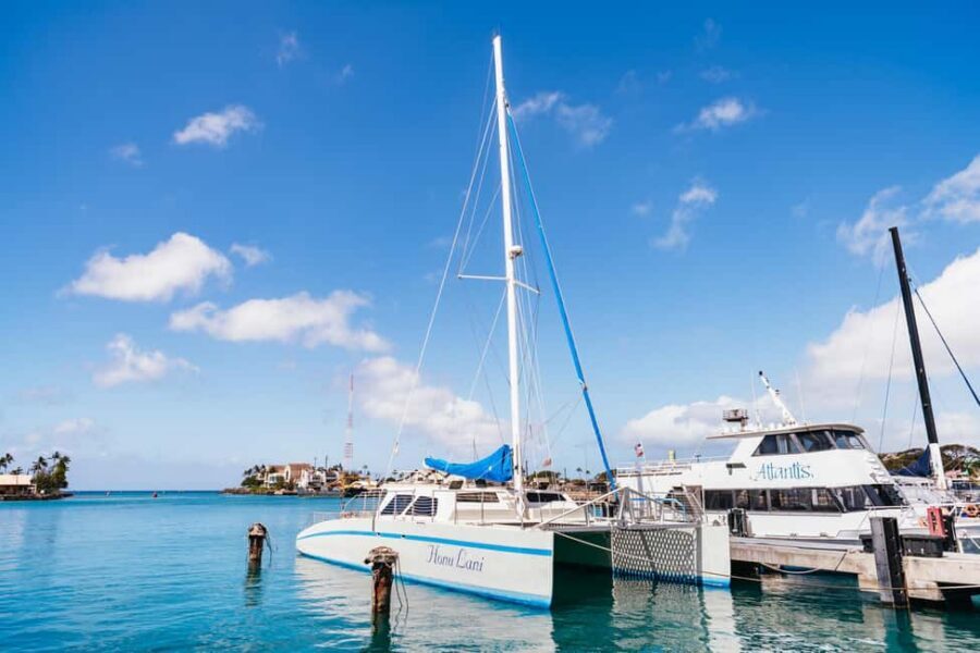 Oahu: Waikiki Snorkel and Sailing Trip with Lunch - The Catamaran Ride: Why This Style Feels Relaxing
