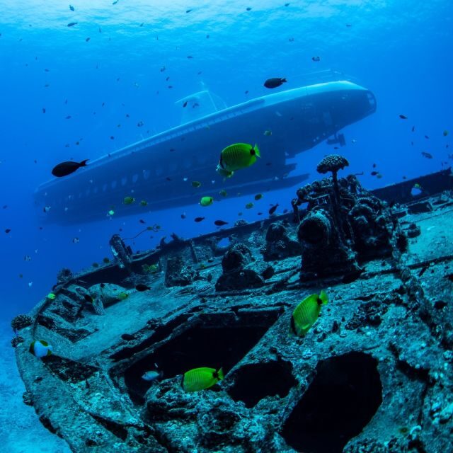 Oahu: Waikiki Submarine Tour - Who Should Book This Submarine Tour—and Who Might Skip It