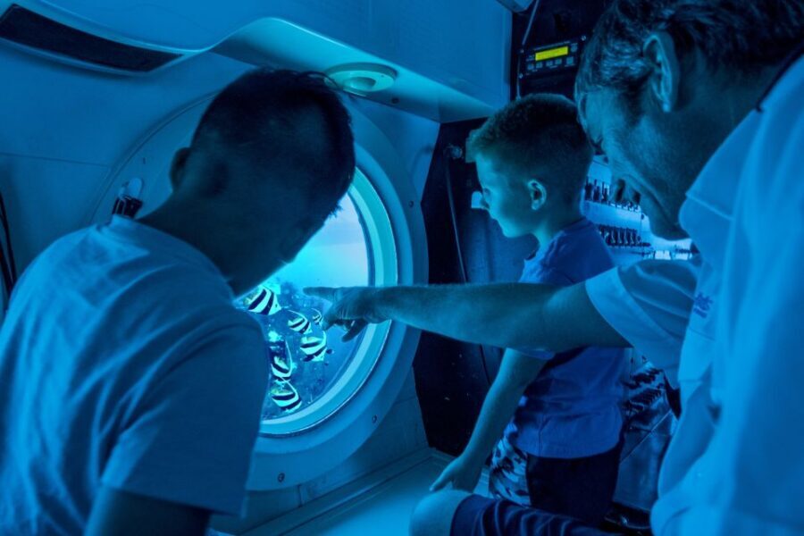 Oahu: Waikiki Submarine Tour - Where You Meet: Hilton Pier Check-In and the Start of the Day