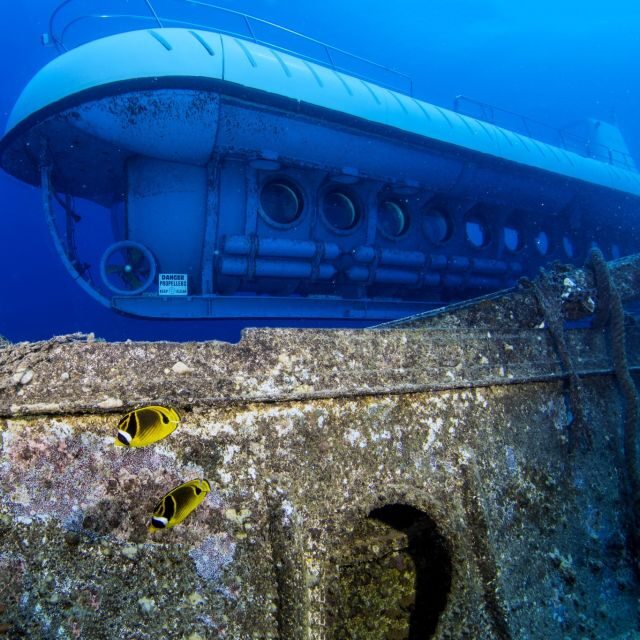 Oahu: Waikiki Submarine Tour - Waikiki Beach Stop: The 45-Minute Break Above Water