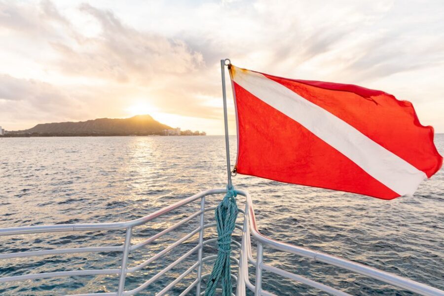 Oahu: Waikiki Turtle Canyons Cruise and Snorkel Excursion - Key things that make this Turtle Canyons trip worth your time