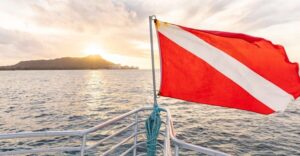 Oahu: Waikiki Turtle Canyons Cruise and Snorkel Excursion - Getting to the Coral Kai boat at Kewalo Basin (and why timing helps)