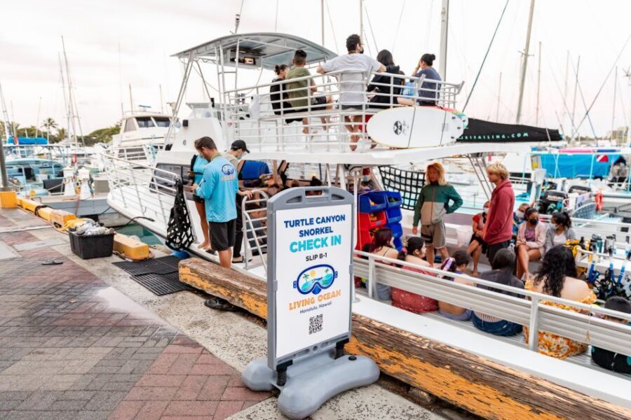 Oahu: Waikiki Turtle Canyons Cruise and Snorkel Excursion - The sea life you’re likely to see (and what to watch for)