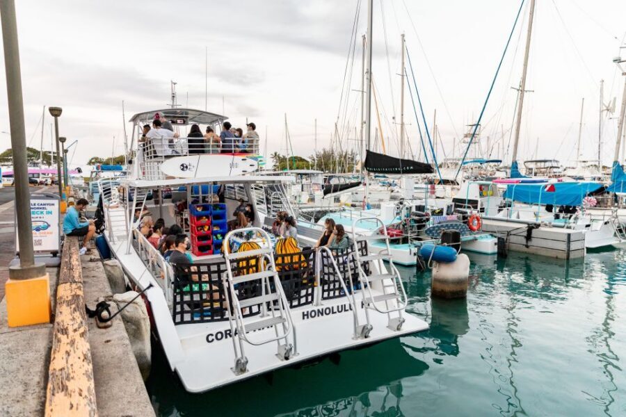 Oahu: Waikiki Turtle Canyons Cruise and Snorkel Excursion - What the boat ride and refreshments are really like