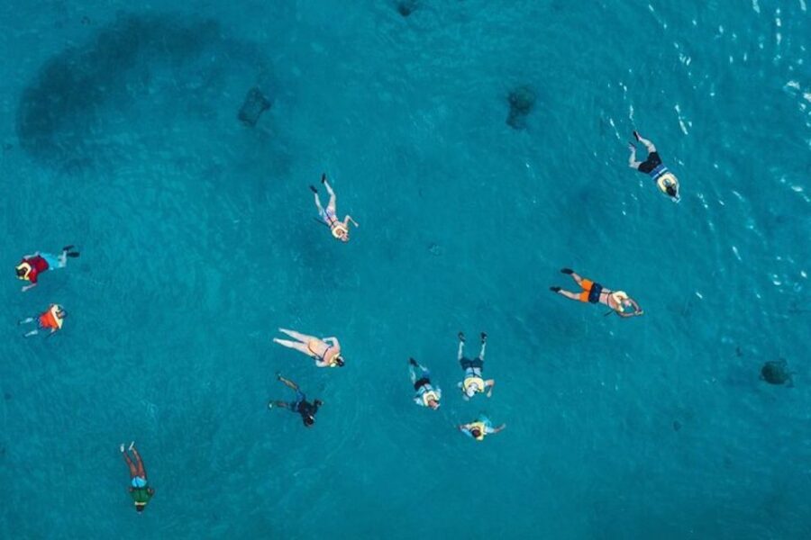 Oahu: Waikiki Turtle Snorkeling Adventure Cruise - The vibe: what this Waikiki turtle cruise feels like in real life