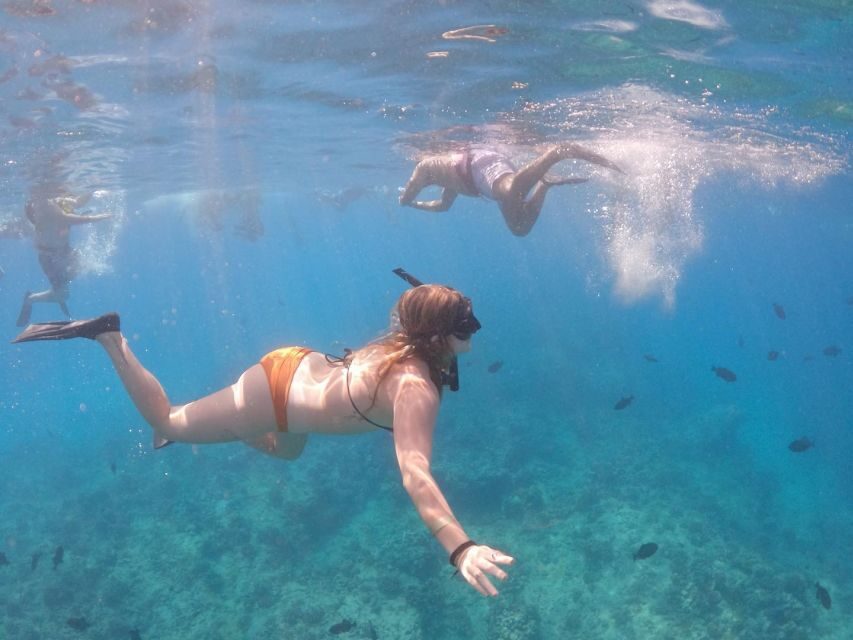 Oahu: Waikiki Turtle Snorkeling Adventure Cruise - The 2-hour flow: sail out, brief, snorkel, back to shore