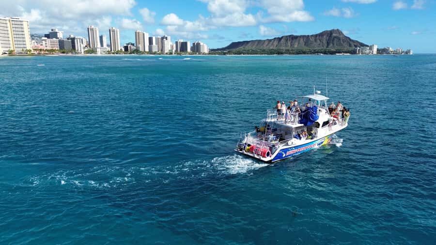 Oahu: Whale Watching Cruise Whales Guaranteed - Key Things to Know Before You Go
