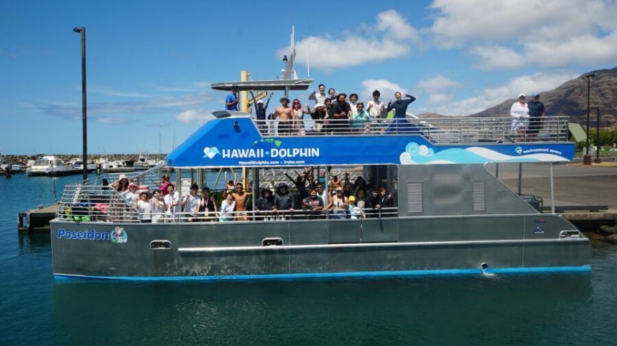 Oahu: Wild Dolphins Swim Turtle Snorkel Tour & Waterslide - Waterslide, paddle boards, kayak, and the floating mat