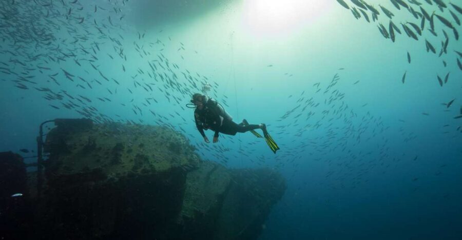 Oahu: Wreck & Reef Scuba Dive for Certified Divers - First Steps: Where You Meet and How the 3 Hours Works