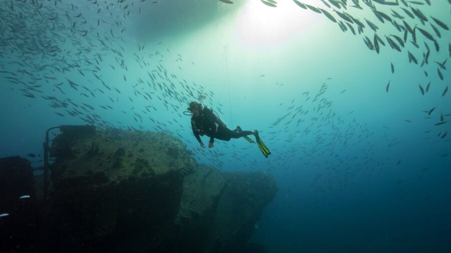 Oahu: Wreck & Reef Scuba Dive for Certified Divers - What the Boat Trip Feels Like: Comfort, Space, and a Real Break