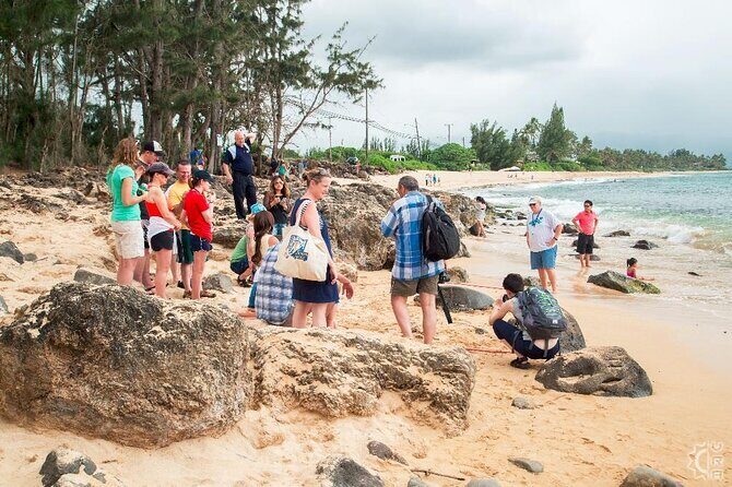 Oahu's Cheapest Circle Island Tour - Why this $54 Circle Island day feels like good value