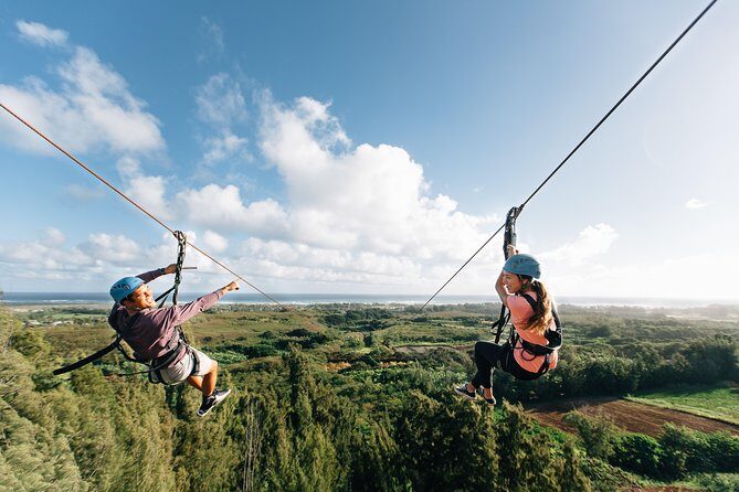 Oahu's North Shore: 8-Line Zipline Adventure - The course has more than ziplines: rappels, sky bridges, boardwalks