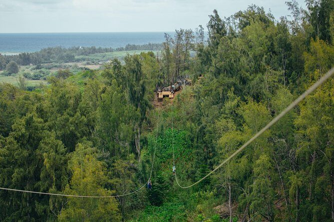 Oahu's North Shore: 8-Line Zipline Adventure - How long it takes (and why 2.5 hours can feel like a full activity)