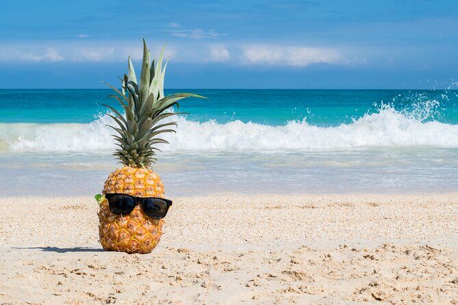 Oahu's Ultimate Grand Circle Island Tour with Snorkeling and More - Starting with hotel pickup and a 7:00am game plan