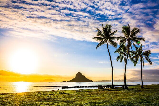Oahu's Ultimate Grand Circle Island Tour with Snorkeling and More - Kahuku Farms fruit stands and North Shore break-time energy