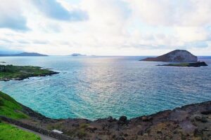 Oahu's Ultimate Tour: Dole, Turtle Snorkel, Pali Lookout & More - Hanauma Bay Is a Look-From-Outside Moment (No Parking Stop)