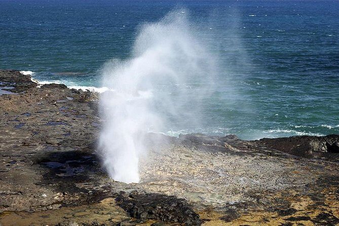 Oahu's Ultimate Tour: Dole, Turtle Snorkel, Pali Lookout & More - Haleiwa Turtle Snorkeling: Rocky Entry, Safety Gear, and Turtle Odds