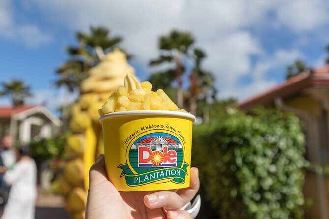 Oahu's Ultimate Tour: Dole, Turtle Snorkel, Pali Lookout & More - Dole Plantation Timing: Train or Maze and a Tight 50 Minutes