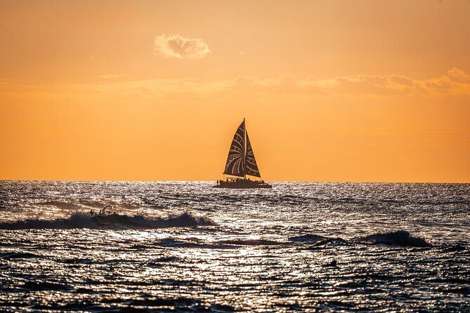 Oahu's Waikiki Coast: Moana’s Sunset Cocktail Sail - Dolphins and humpback whales: what you’re likely to see