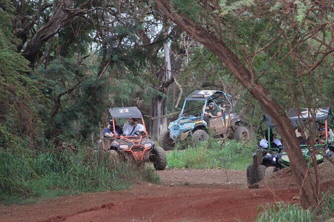 Off-Road ATV & 3 Zipline Combo (Optional Waikiki Shuttle) - Time on the Clock: What the 2.5 Hours Feels Like