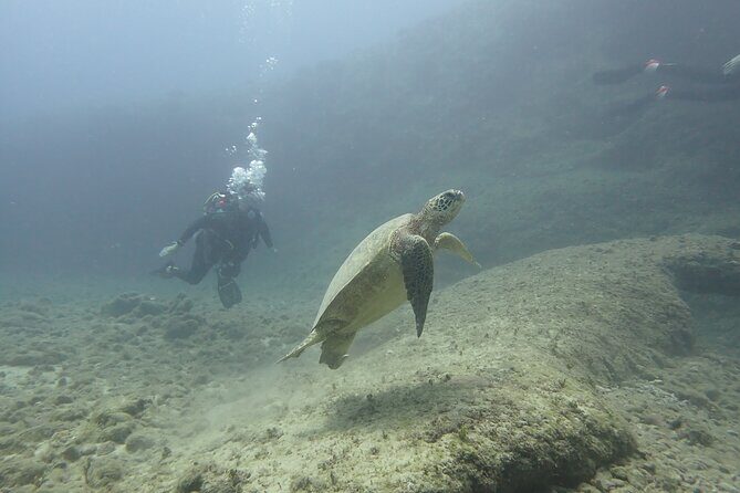 Open Water Scuba Certification - SSI Open Water on Oahu: the course format you can actually plan around