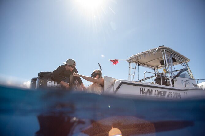Open Water Shark Dive - Timing, Value, and the Real Price Question