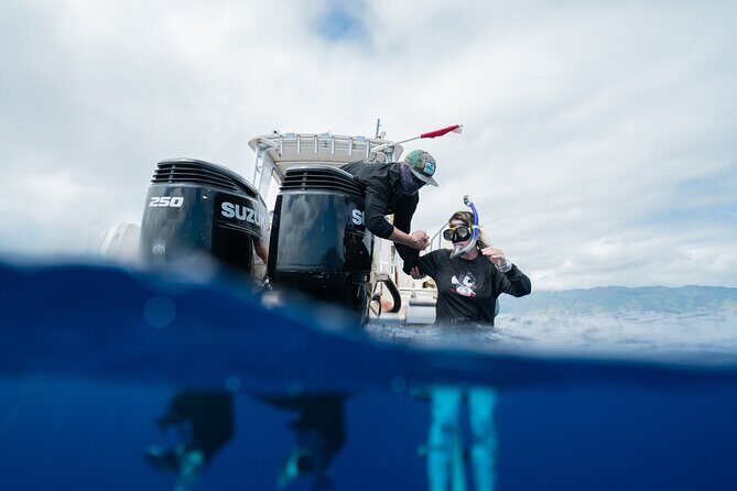 Open Water Shark Dive - Conditions, Seasickness, and the Tough Day Reality