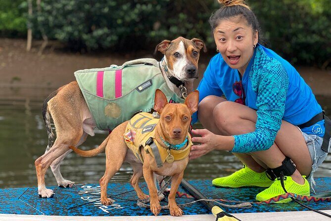 Paddle Board North Shore with Rescue Dogs - Rainbow Bridge and the route: local landmarks without the big-tour fuss