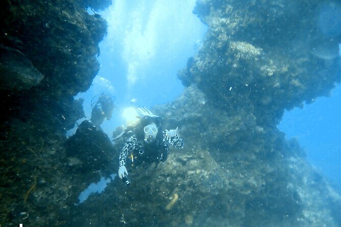 PADI Open Water Certification Course Shared Experience - Key highlights you’ll feel fast