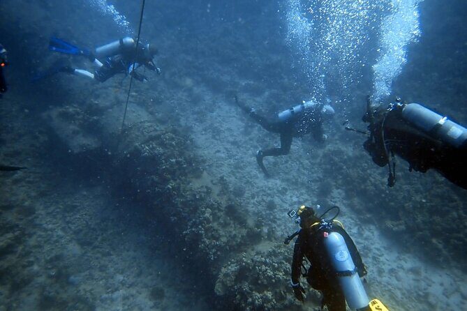 PADI Open Water Certification Course Shared Experience - Small-group training (max six) and why it changes everything