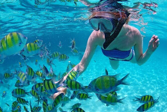 Paradise Waikiki Sunset Cruise + LIVE DJ + SWIMMING - Where to meet and what to bring for comfort