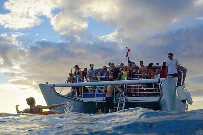 Paradise Waikiki Sunset Cruise + LIVE DJ + SWIMMING - Who should book this cruise, and who should skip it