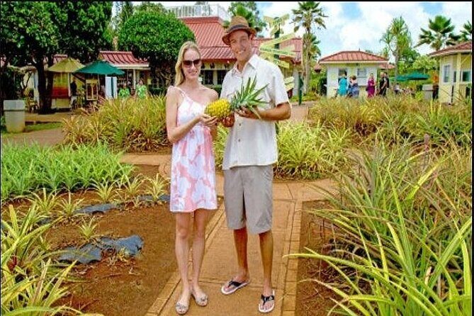 Pearl Harbor, Dole Plantation, and Polynesian Center from Kauai - Key highlights worth your attention