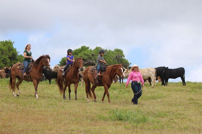 Pony Rides For Kids - Gunstock Ranch pony rides for kids ages 2 to 7