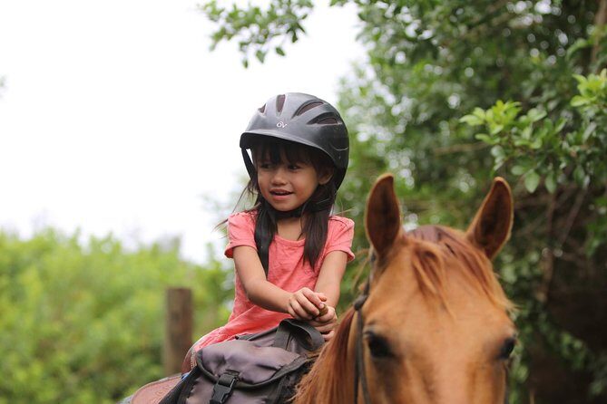 Pony Rides For Kids - What happens after the ride: feeding, brushing, and petting