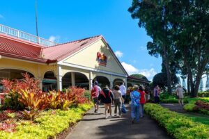 Premium Oahu Circle Island Tour – Small Group, No Crowds - Getting Picked Up in Waikiki Before the Crowd Moves
