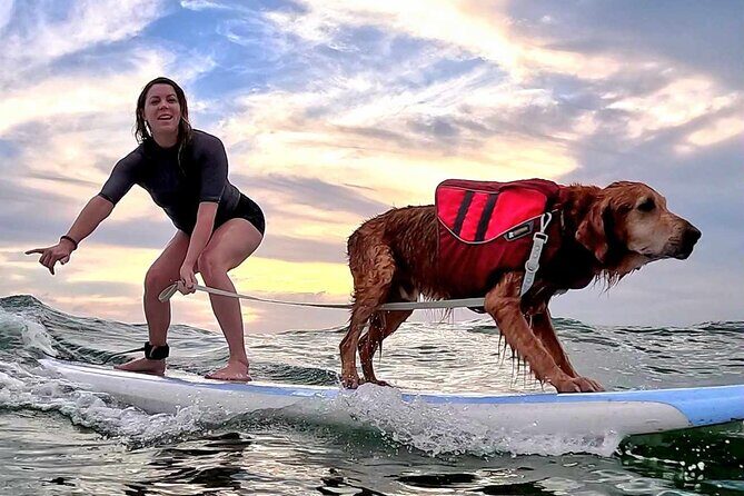 Private 1-on-1 Surf Lesson with Videos and Photos - Your Hour on the Water: Tow Help, Wave Pushes, and Catching Something