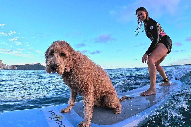 Private 1-on-1 Surf Lesson with Videos and Photos - Price and Value for a $160 Private Lesson