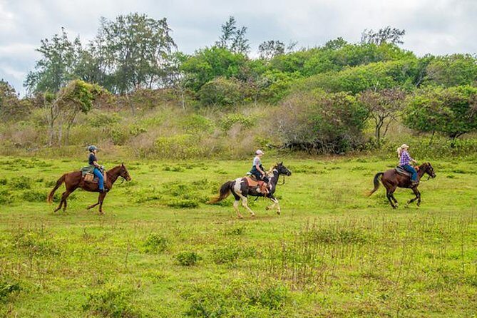 Private Advanced Trail Ride - Key things to know before you saddle up