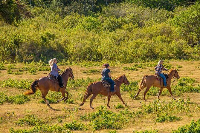 Private Advanced Trail Ride - Gunstock Ranch in Kahuku: Meeting Point and First 20 Minutes