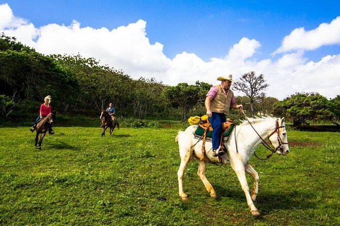 Private Advanced Trail Ride - Rider Rules You Should Read Like They’re About You