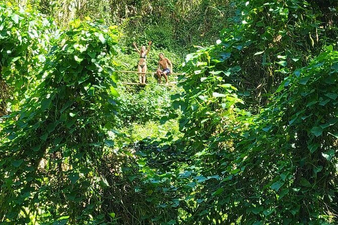 Private Bucket List Adventure Day- Hikes, Beaches, Waterfalls - Ka’au Crater Hike: jungle effort and a private swimming hole