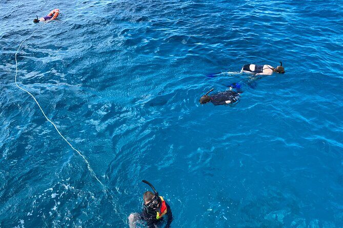 Private Catamaran Cruise and Snorkeling Tour in Honolulu - How long it lasts, and how to plan your day