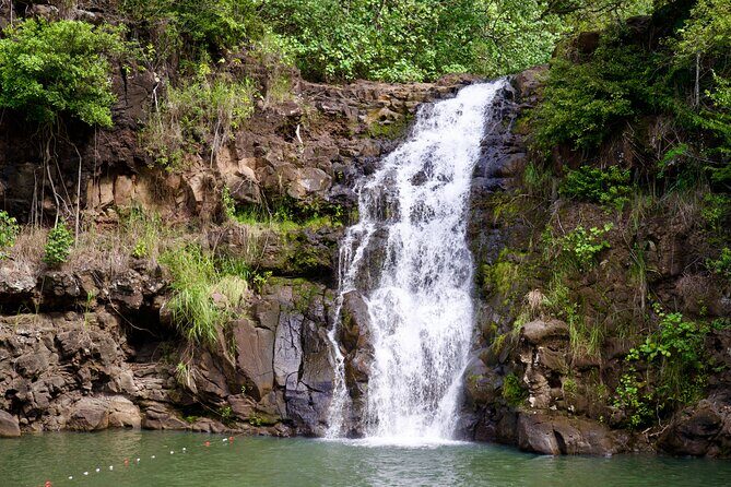 Private Circle Island Tour-Oahu-Customizable - South Shore to the North Shore: scenic driving that’s actually sightseeing